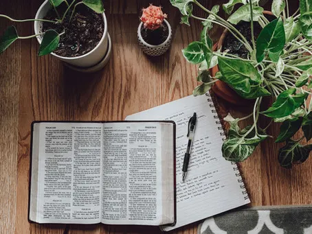 Family Study: Zechariah 6
